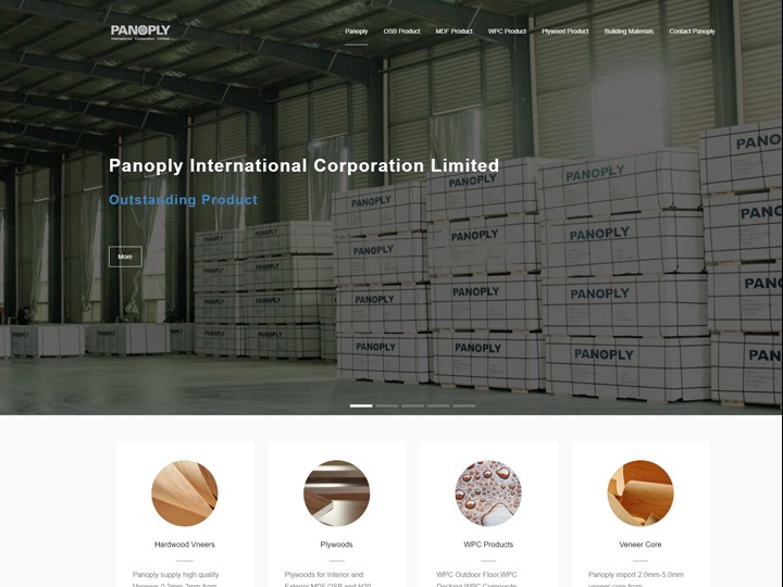 PANOPLY INTERNATIONAL