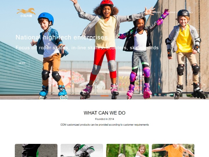 Zhejiang Lianzhi sports Goods CO.,LTD 